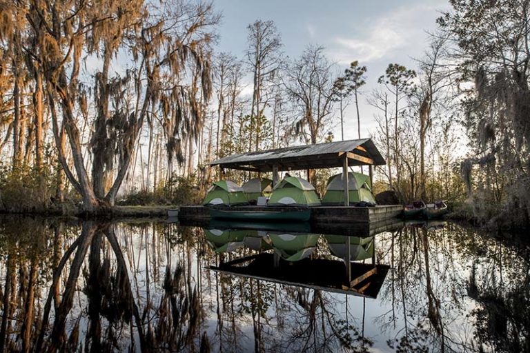 Is okeefenokee swamp folkston open on thanksgiving day