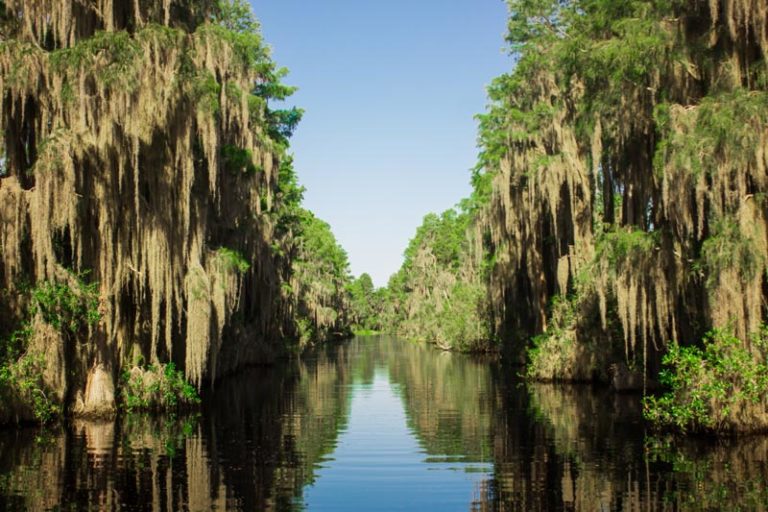 Okefenokee Swamp Park – southerngeorgiamagazine.com